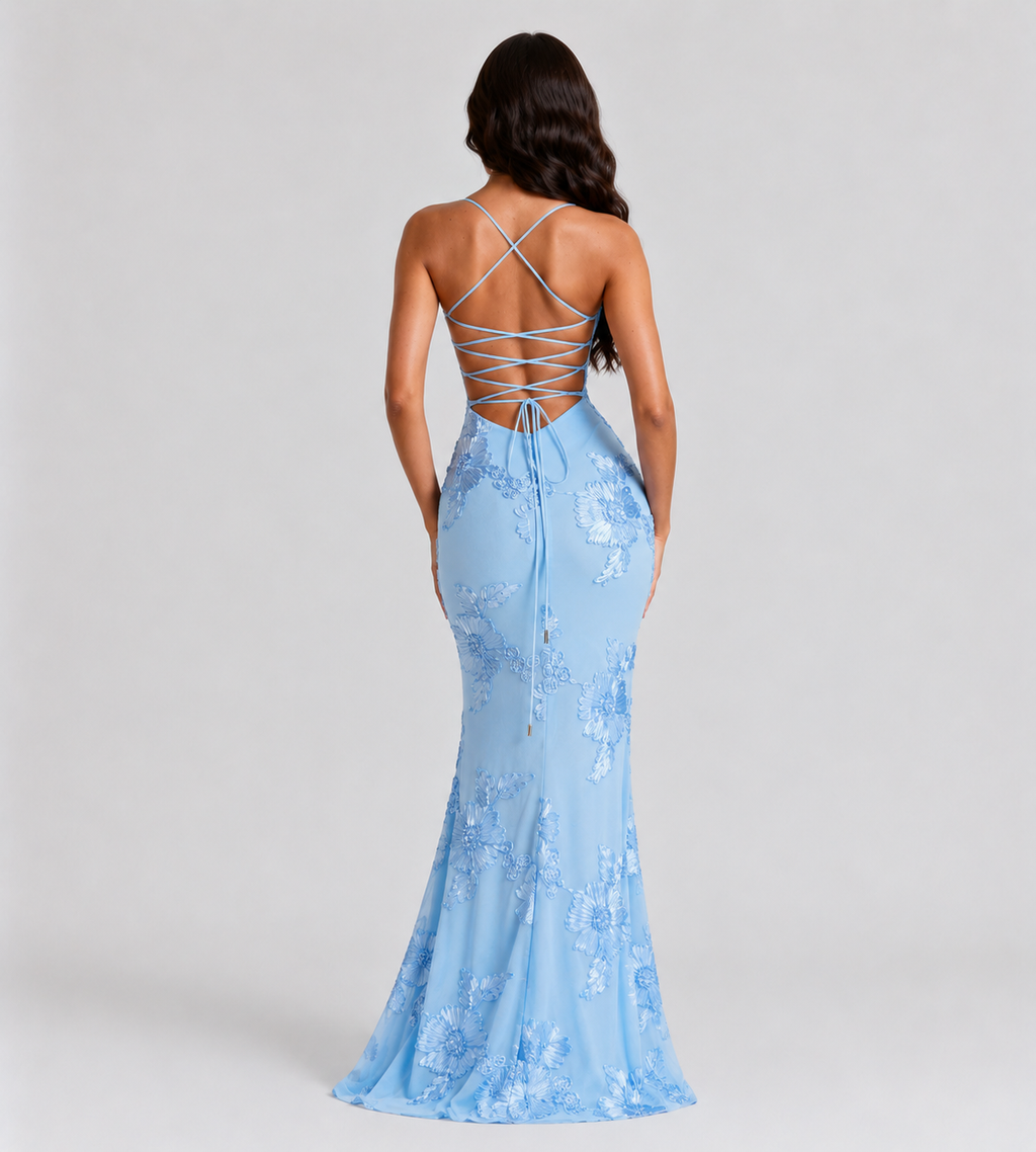 Fiora Floral Appliqué Corset Maxi Dress - Blue