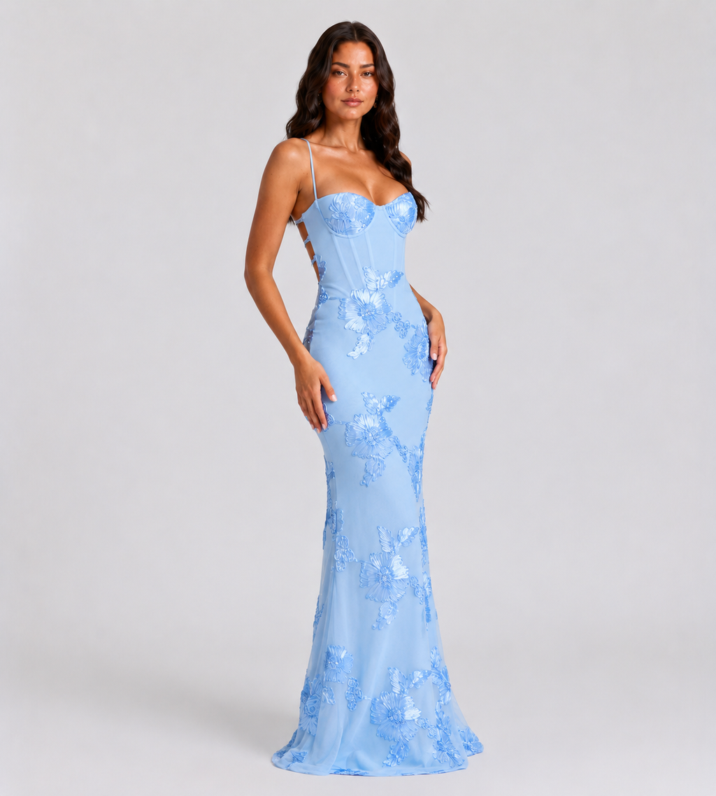Fiora Floral Appliqué Corset Maxi Dress - Blue