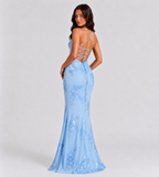 Fiora Floral Appliqué Corset Maxi Dress - Blue